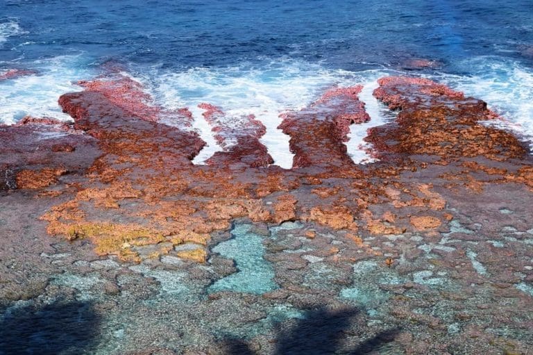 The cinnamon and turquoise reef at Niue